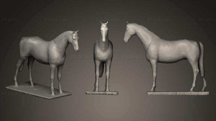 Статуэтки животных (Музей охоты, STKJ_0323) 3D модель для ЧПУ станка